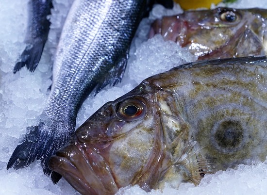 Владельца магазина в Волжском оштрафовали за рыбу без маркировки