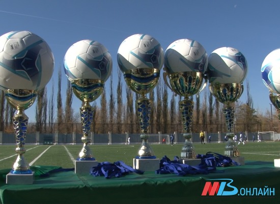 В Волгоградской области стартовали соревнования по футболу памяти Александра Никитина