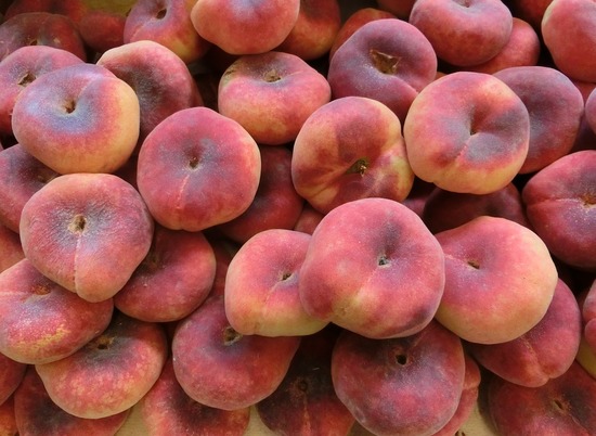 В Волгоград хотели доставить 5 тонн персиков из Ирана с вредителем