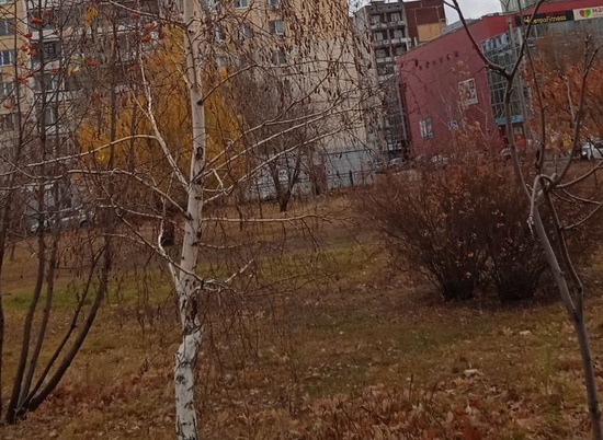 Дожди и сильный ветер ожидаются в Волгоградской области в конце ноября