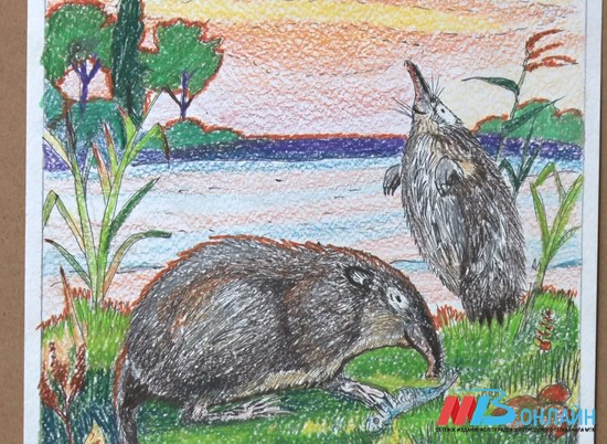 Юные художники Волгограда изобразили экологическую угрозу и животных родного края