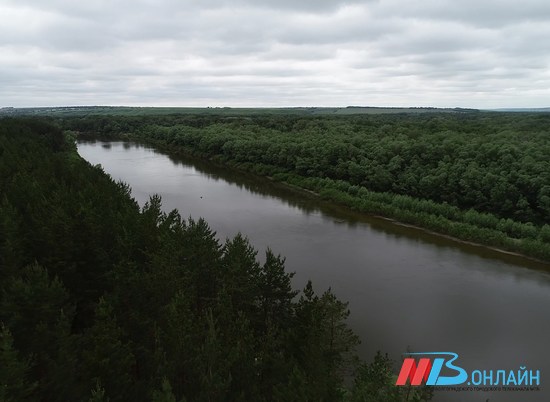 Экологи выяснят причину покраснения воды в реке Арчеде под Волгоградом