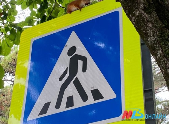 4 тысячи новых дорожных знаков появились на волгоградских дорогах за последние два года