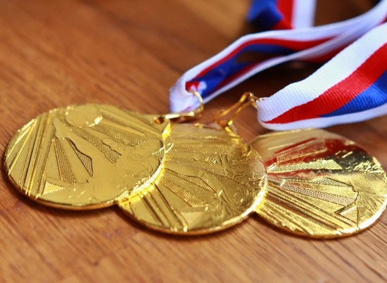 Волгоградские спортсмены привезли из Москвы множество медалей