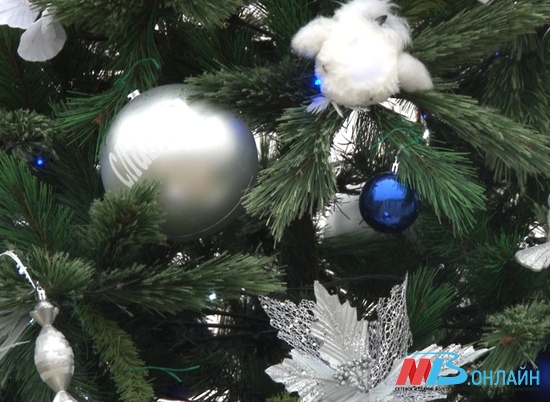 В центре Волгограда появятся сразу 14 новогодних елок