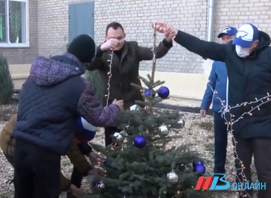 В школах и медучреждениях Волгограда украсили елки, высаженные в рамках проекта по озеленению