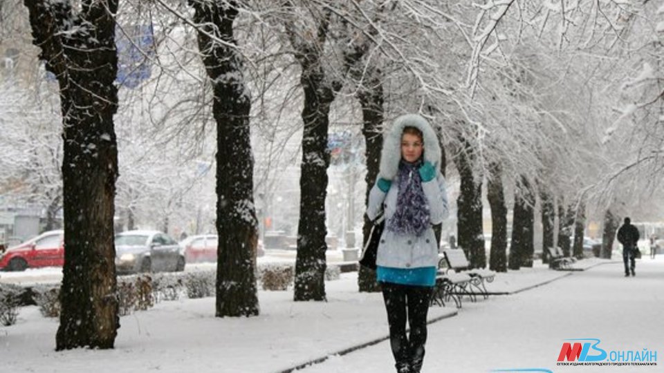 Метель, гололед и шторм ожидаются в Волгоградской области в выходные