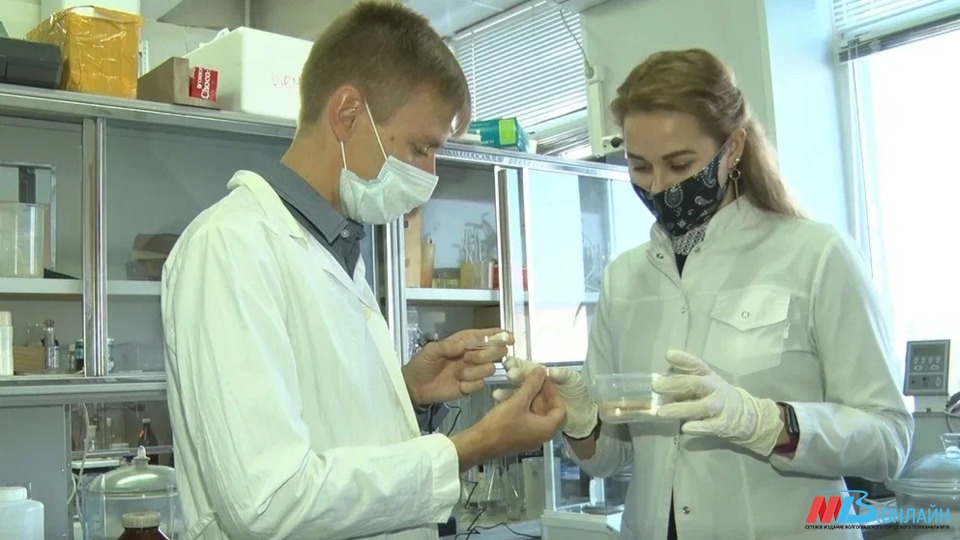Показатели коронавируса в Волгоградской области рухнули