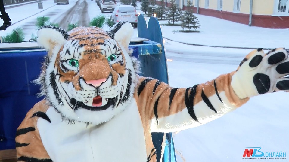 Жителям Волгоградской области разрешили отмечать Новый год на морозе