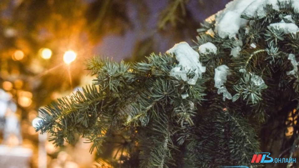 В Волгограде и области в новогоднюю ночь ожидается мокрый снег