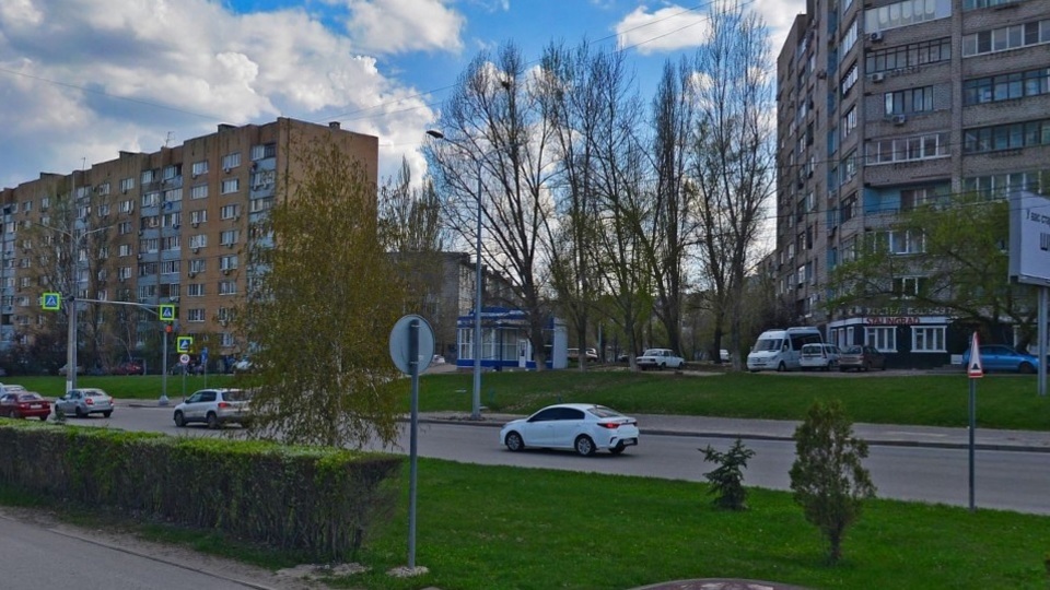 В центре Волгограда неизвестные незаконно спилили ветки с деревьев