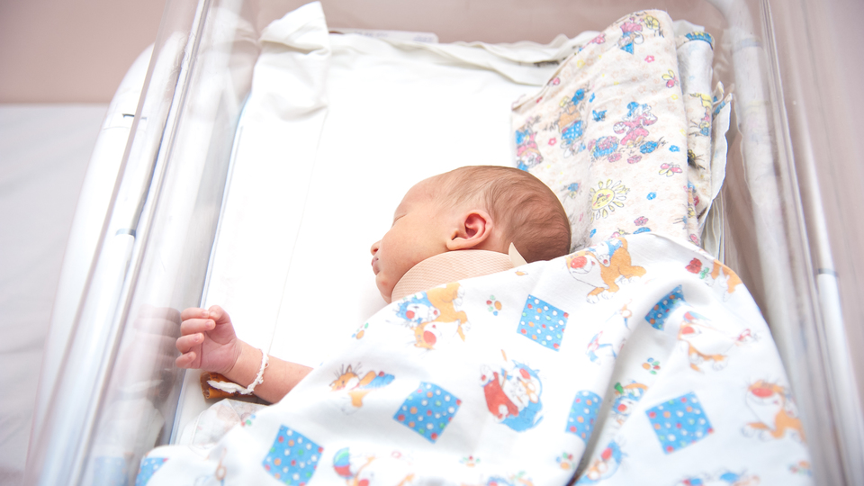 В Волгоградской области в 2021 году благодаря процедуре ЭКО родились 337 детей