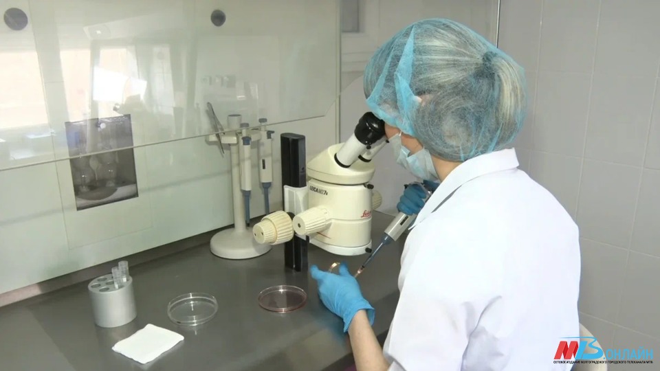 Волгоградские медики учатся работать с новым штаммом коронавируса