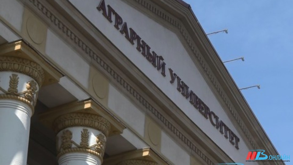 Волгоградские вузы из-за "омикрона" закрывают открытые двери