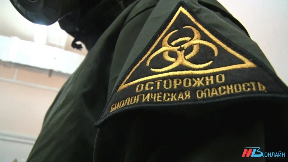 В Волгоградской области COVID-19 заболели 816 человек за сутки