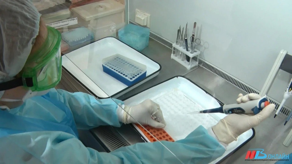 1006 человек заболели коронавирусом в Волгоградской области за сутки