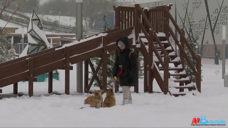 Мокрый снег и сильный ветер ожидаются в Волгоградской области 2 февраля