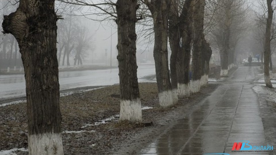 Липкий снег и сильный ветер ожидают Волгоградскую область 8 февраля