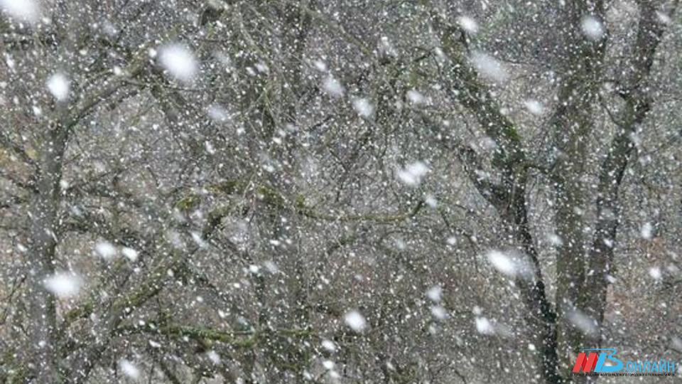 19 февраля гидрометцентр прогнозирует в Волгограде дождь со снегом и туман