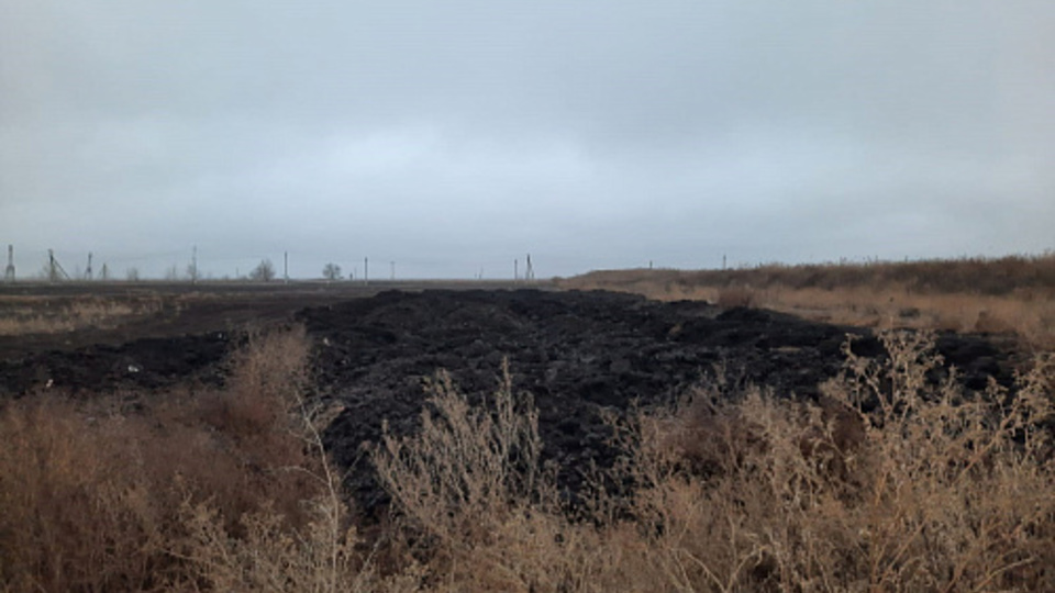 Ущерб почве от птицефабрики в Волгоградской области оценили в 1,2 млн рублей