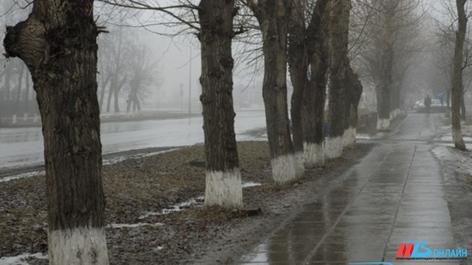 Новая рабочая неделя начнется в Волгоградской области со снега и дождя