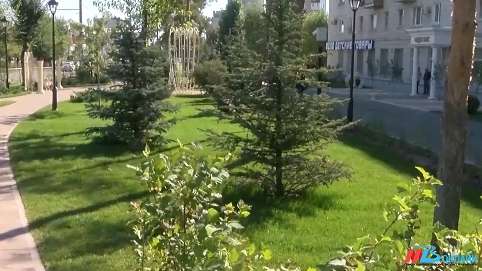 В Волгограде отремонтируют главную аллею на бульваре вдоль проспекта им. Жукова