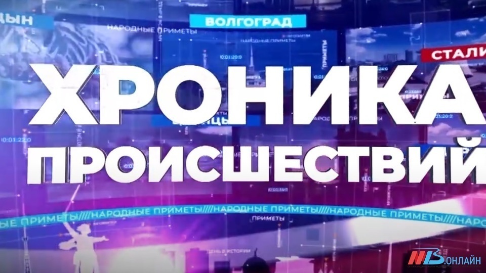 В Волгоградской области браконьера поймали «за руку» при разделке туши косули