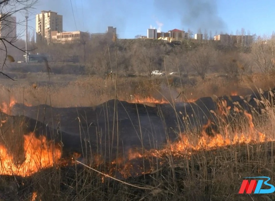 На юге Волгограде нашли обгоревший труп женщины