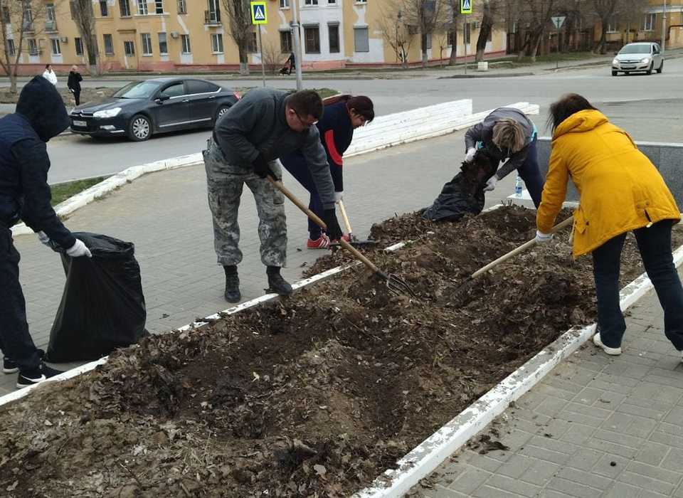 В Советском районе Волгограда «разбудят» розы и высадят 40 тополей без пуха