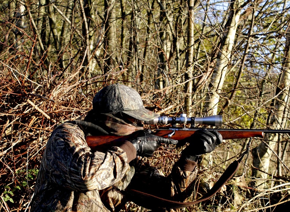Сезон охоты на птиц начался на севере Волгограда