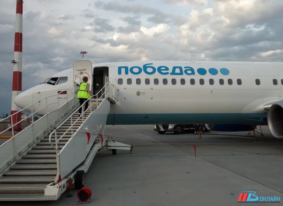 Самолет из Волгограда при посадке попал в стаю птиц в Москве