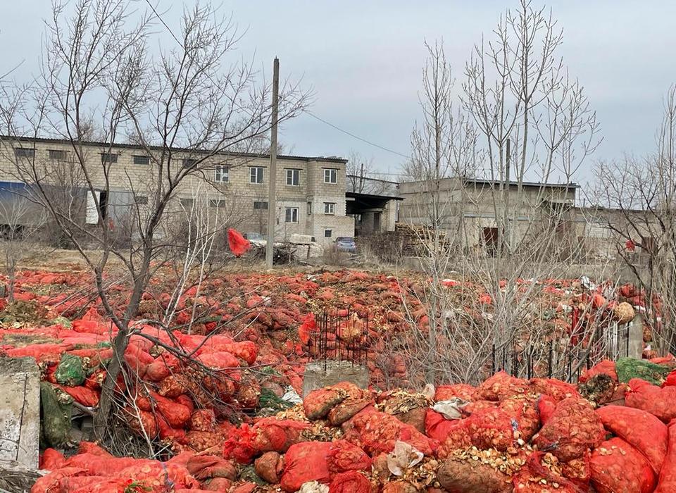 На севере Волгограда выявили стихийную свалку гниющих овощей