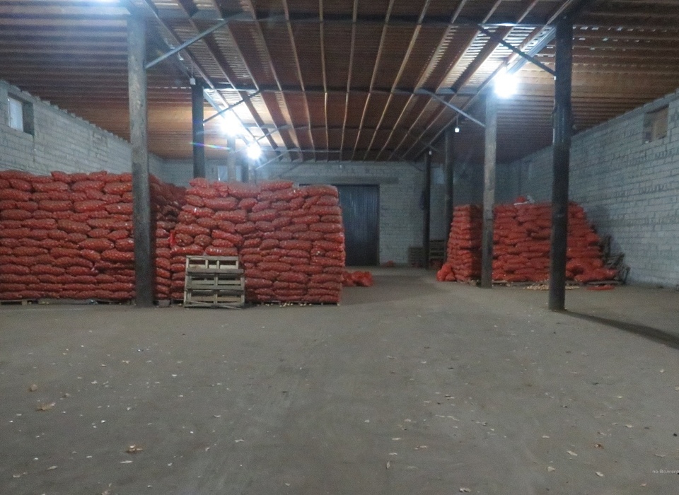 В Волгограде сторож овощебазы украл 7 тонн лука
