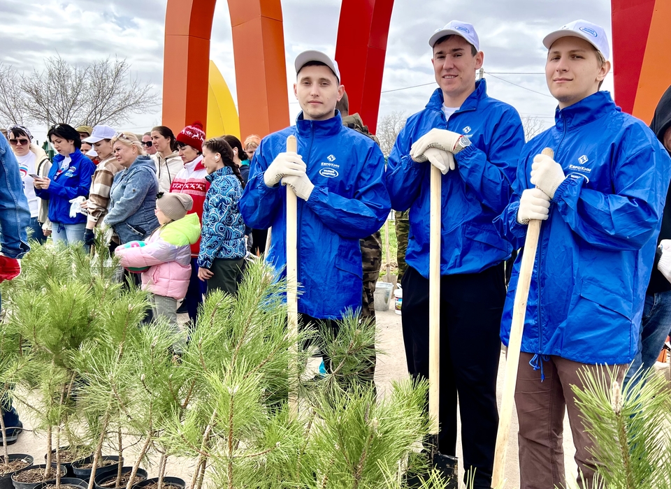 Молодые специалисты «ЕвроХим-ВолгаКалия» поддержали всероссийский субботник по высадке деревьев