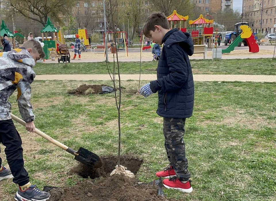 В Ворошиловском районе Волгограда появился "Сад мира"