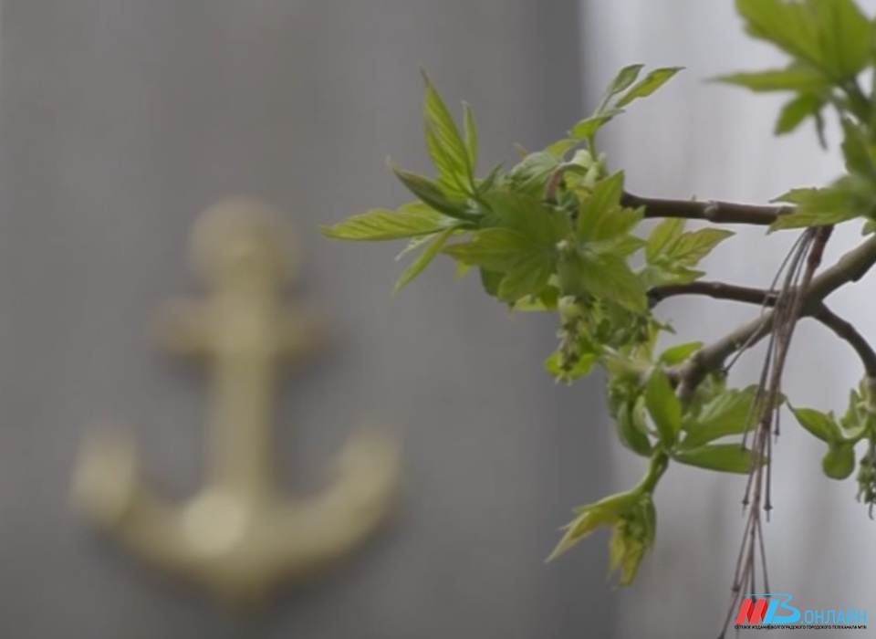 Волгоградцы вышли на субботник у памятника морякам Волжской военной флотилии
