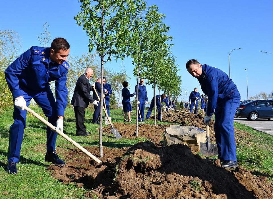 Сотрудники прокуратуры высадили в пойме Царицы аллею деревьев