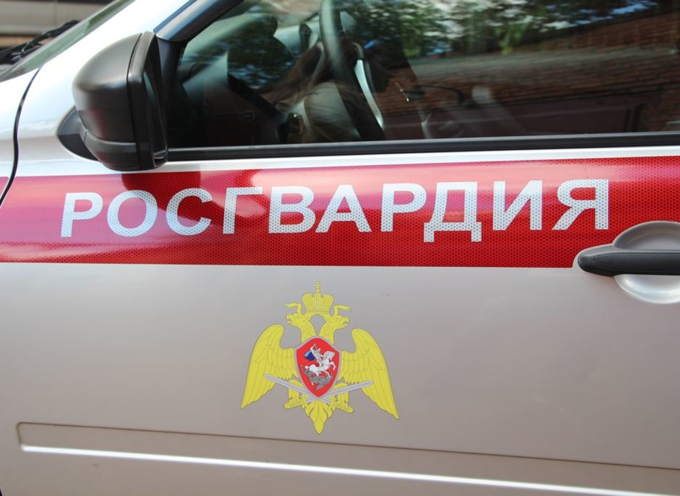 Волгоградские росгвардейцы задержали преступника в федеральном розыске