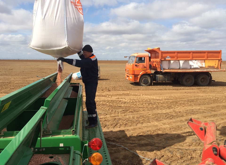 В Волгоградской области завершили сев яровой пшеницы