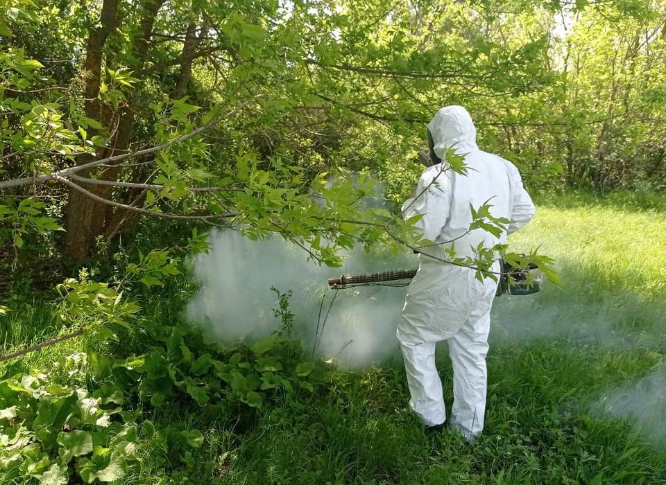 Водоемы Волгоградской области обработают от комаров