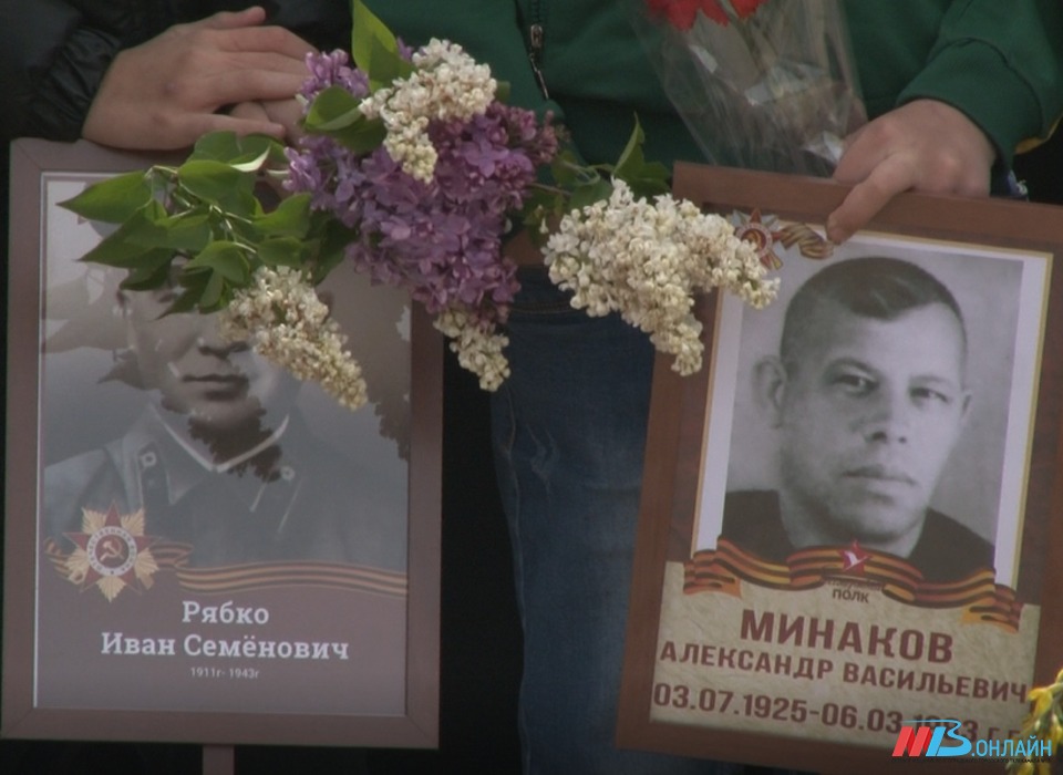 «Ликуй, победная весна!»: в Волгограде почтили память тех, кто боролся с коричневой чумой