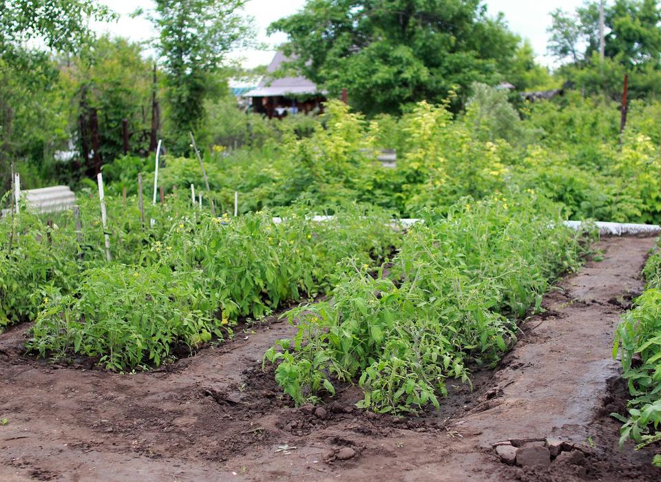 Град побил пустые огороды на севере Волгоградской области