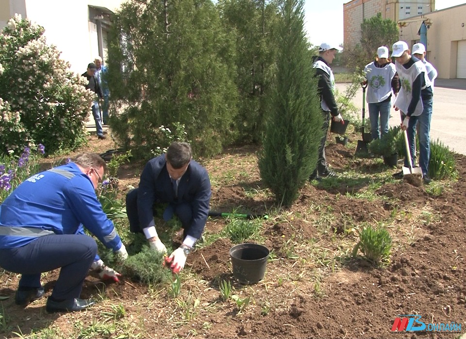 Сотрудники РИТЭКа высадили деревья на территории подстанции скорой медицинской помощи
