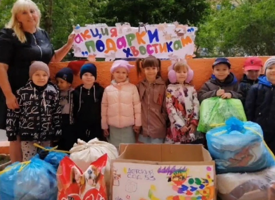 В Волгограде воспитанники детсада помогли приюту для животных на улице Чуйкова