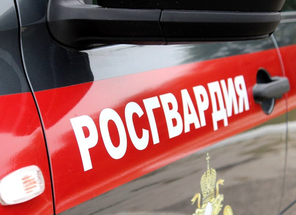 Росгвардейцы пресекли ряд правонарушений в Волгоградской области