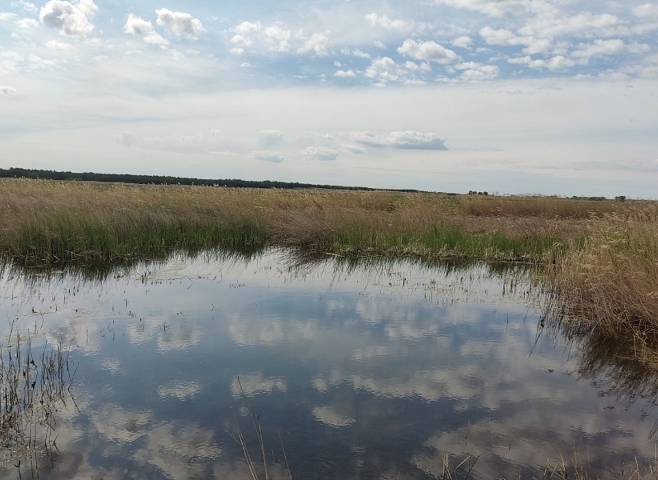 В Волгоградской области восстанавливают реки Донского бассейна