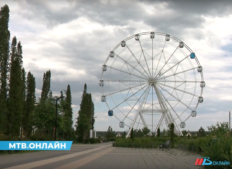 Дожди с грозами при +33 ожидаются в Волгоградской области в выходные