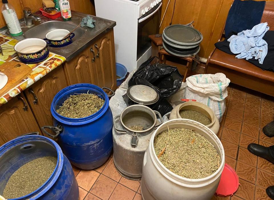 В Волгограде за 70 кг марихуаны осудили двух наркодельцов