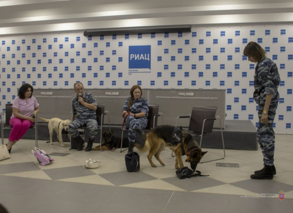 В Волгограде служебные собаки продемонстрировали навык поиска взрывчатки