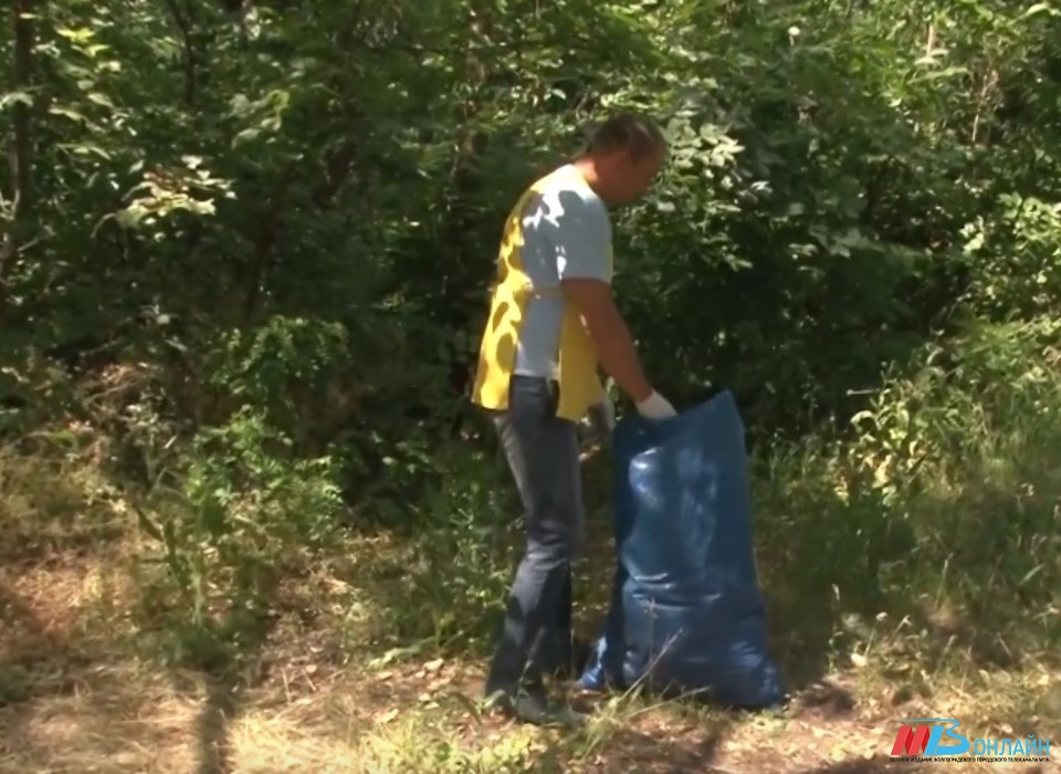 Общественники очистили от мусора берег реки Судомойка под Волгоградом